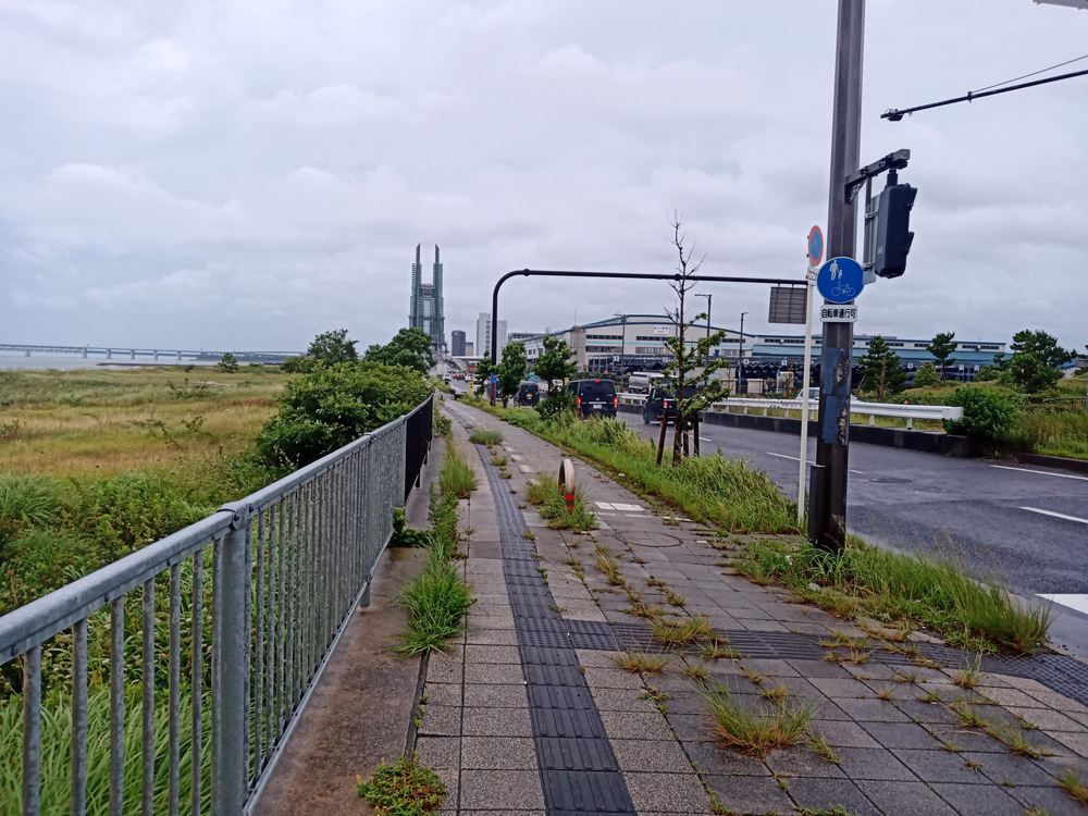 大阪　りんくう公園付近　雨ランの写真15