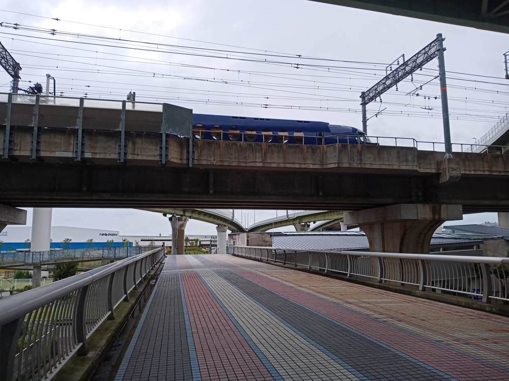 大阪　りんくう公園付近　雨ランの写真17