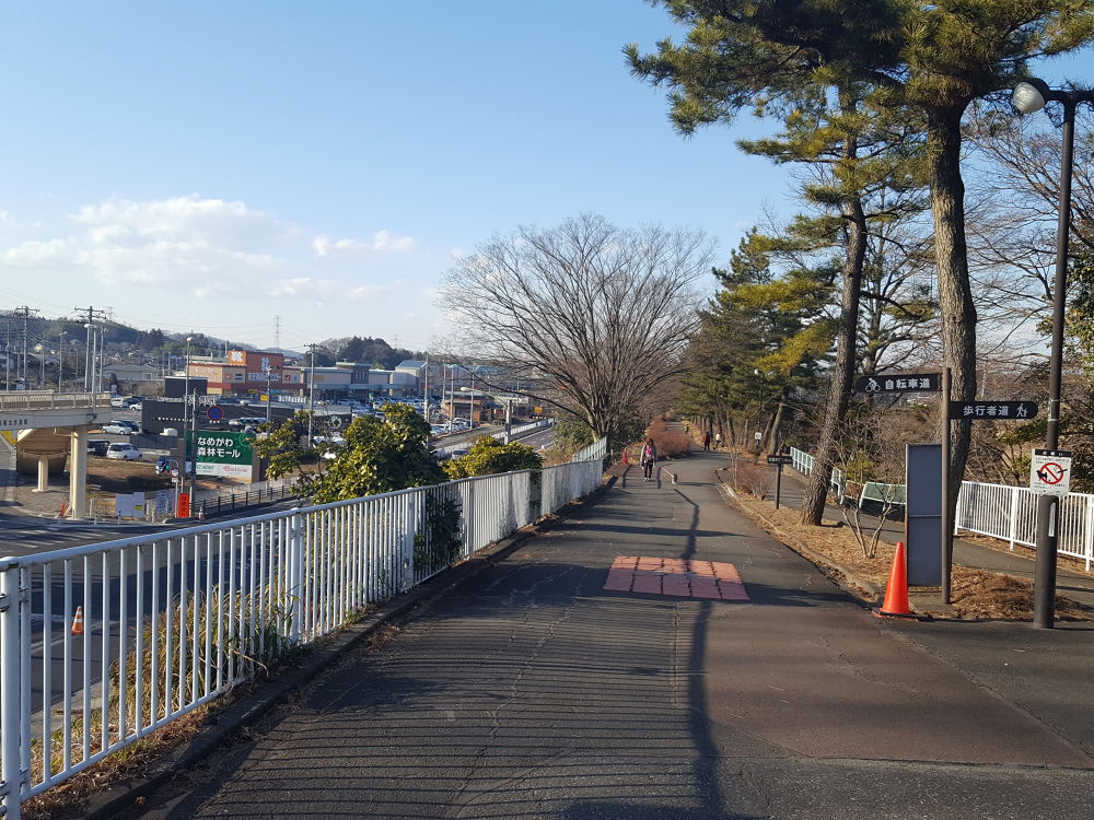 森林公園・緑道の写真3