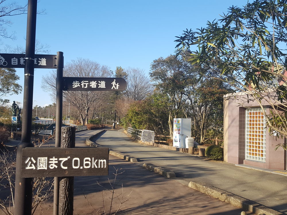 森林公園・緑道の写真4