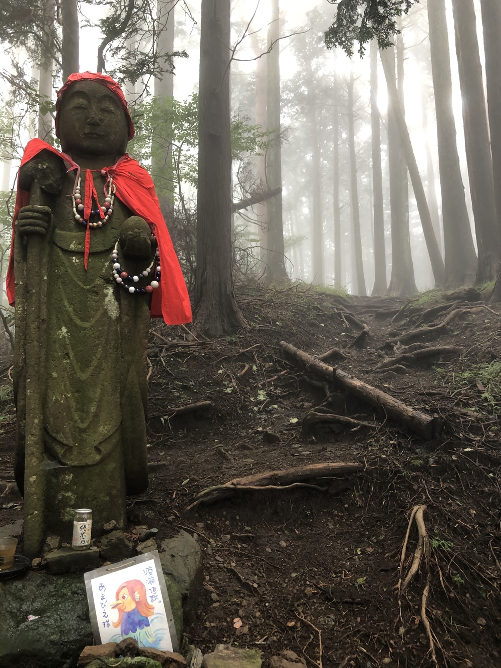 雲海に出会える神の山・大山でトレイルランニングの写真6