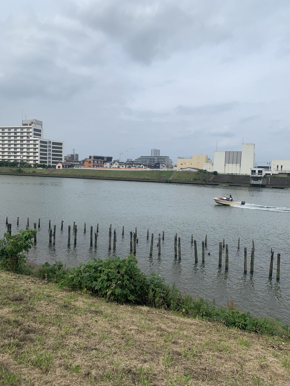 歌川広重と共にRUN 立石〜亀有の写真3