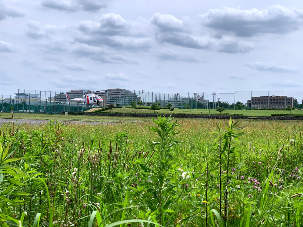 【中止】11/22(日)東京スマイルランコース「スマラン」の写真3