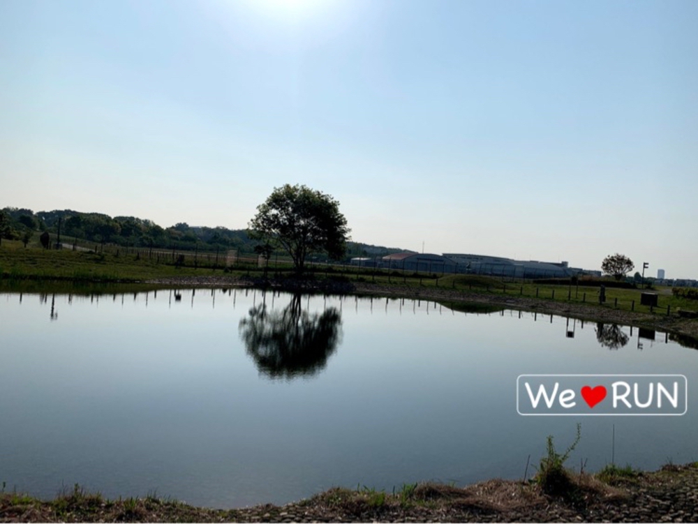 【中止】11/22(日)東京スマイルランコース「スマラン」の写真5