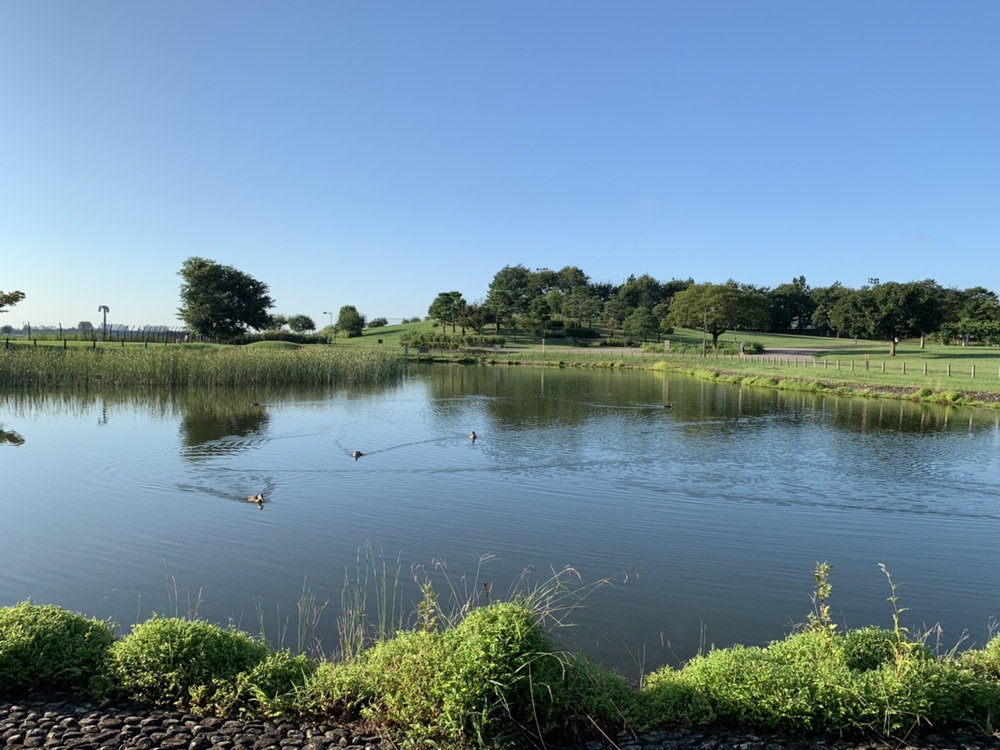 【中止】11/22(日)東京スマイルランコース「スマラン」の写真6