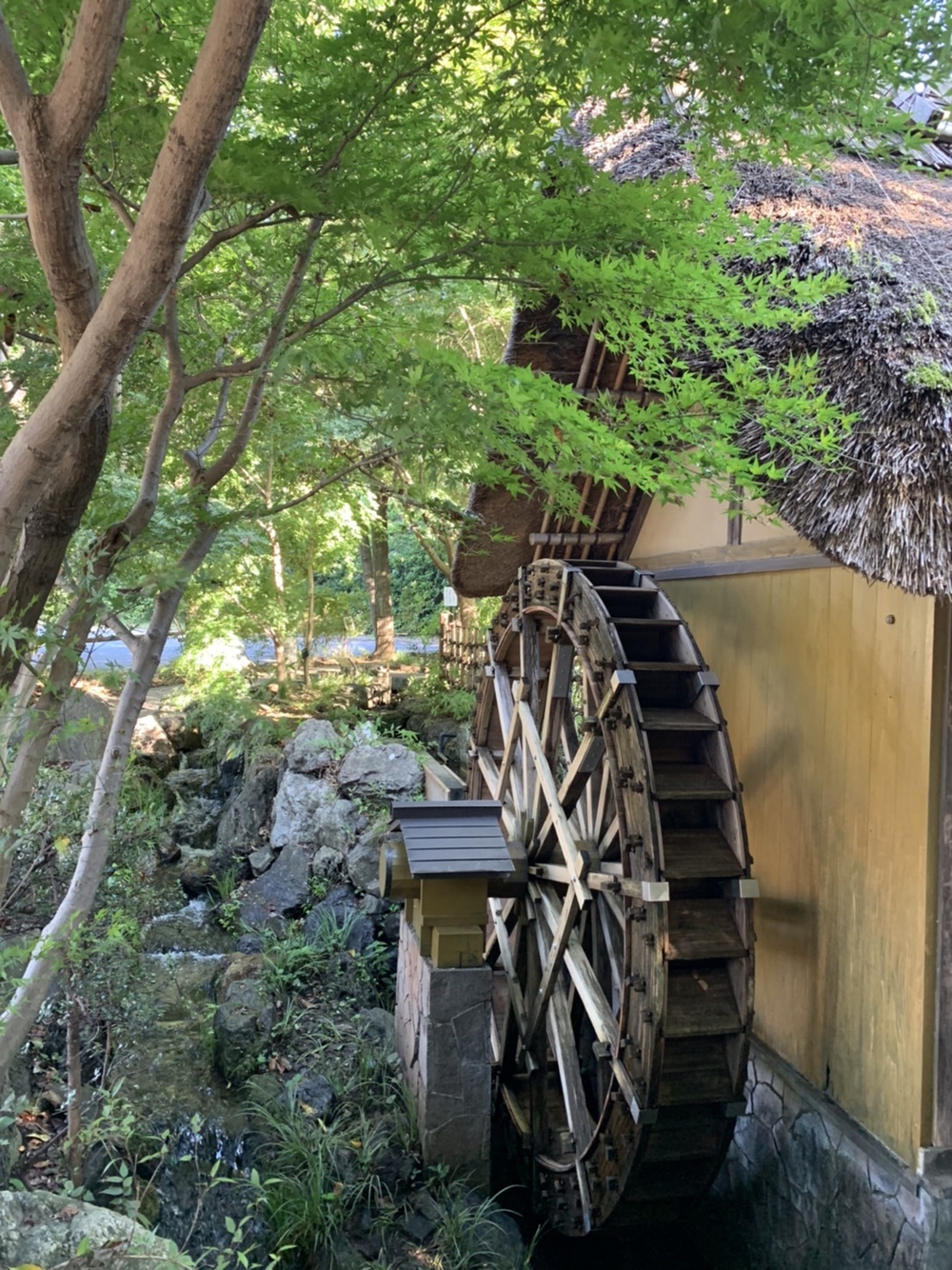 【中止】11/22(日)東京スマイルランコース「スマラン」の写真8