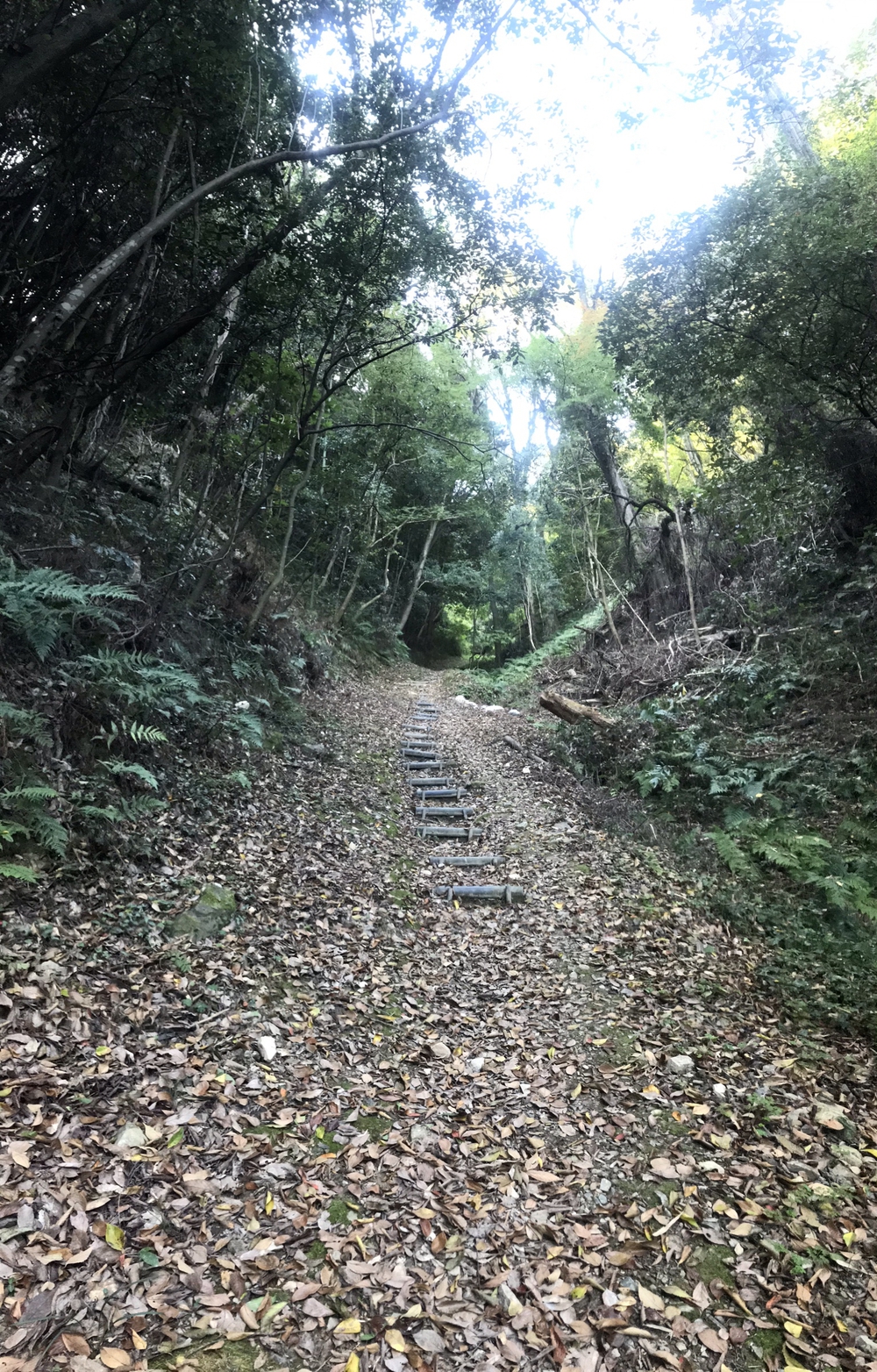 吉備中山の遺跡を見ながらの写真3