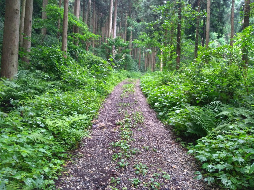 石川　能美　里山周回　天狗橋ー蟹淵ー揚原山ー天狗橋の写真4