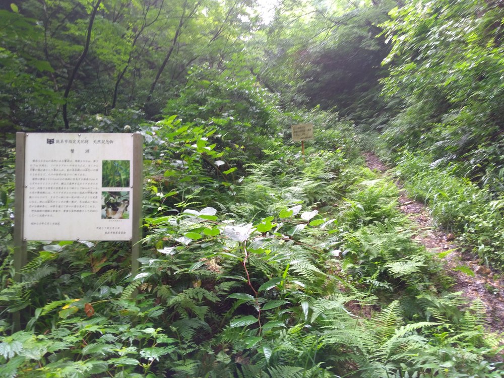 石川　能美　里山周回　天狗橋ー蟹淵ー揚原山ー天狗橋の写真6