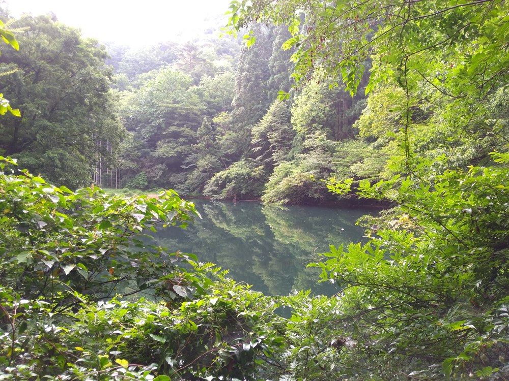 石川　能美　里山周回　天狗橋ー蟹淵ー揚原山ー天狗橋の写真7