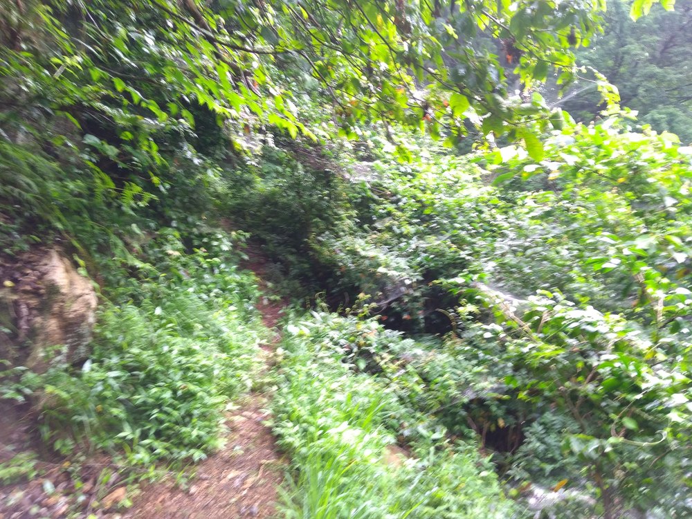 石川　能美　里山周回　天狗橋ー蟹淵ー揚原山ー天狗橋の写真8