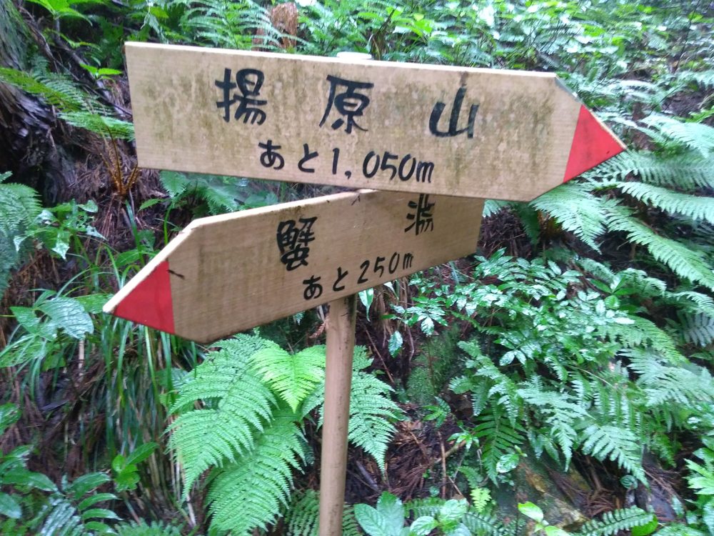 石川　能美　里山周回　天狗橋ー蟹淵ー揚原山ー天狗橋の写真10