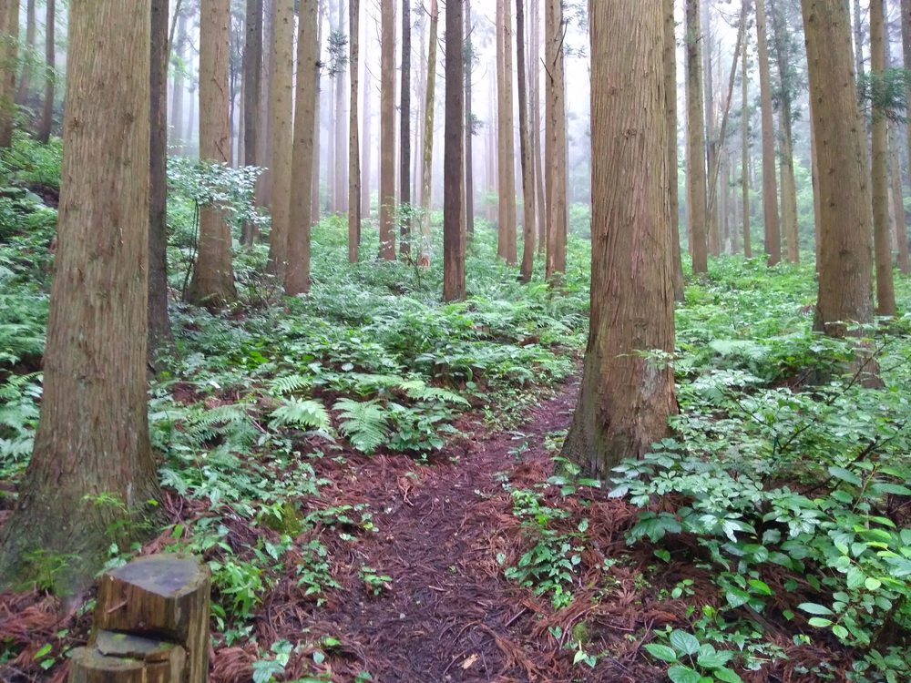 石川　能美　里山周回　天狗橋ー蟹淵ー揚原山ー天狗橋の写真11