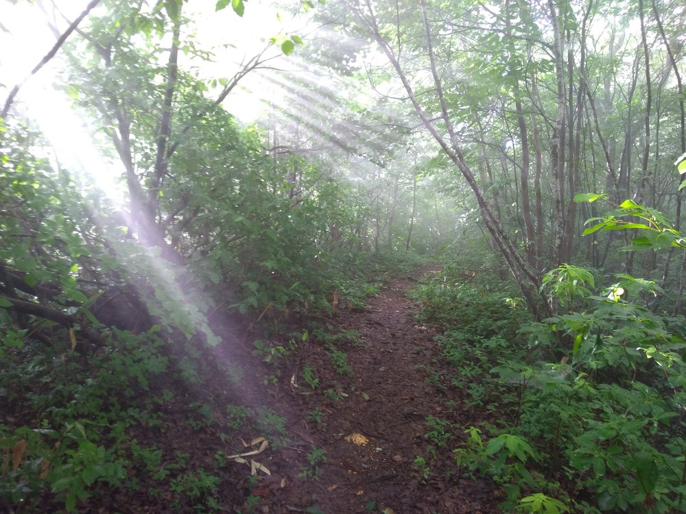 石川　能美　里山周回　天狗橋ー蟹淵ー揚原山ー天狗橋の写真13