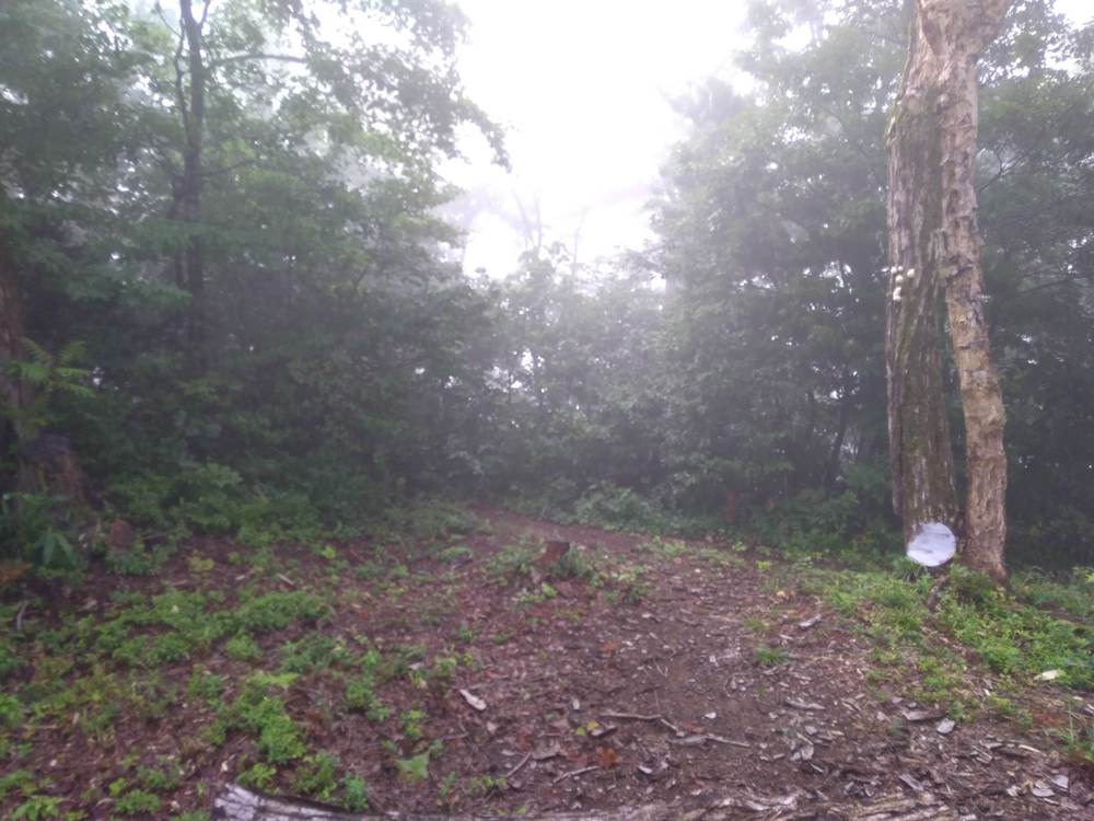 石川　能美　里山周回　天狗橋ー蟹淵ー揚原山ー天狗橋の写真15