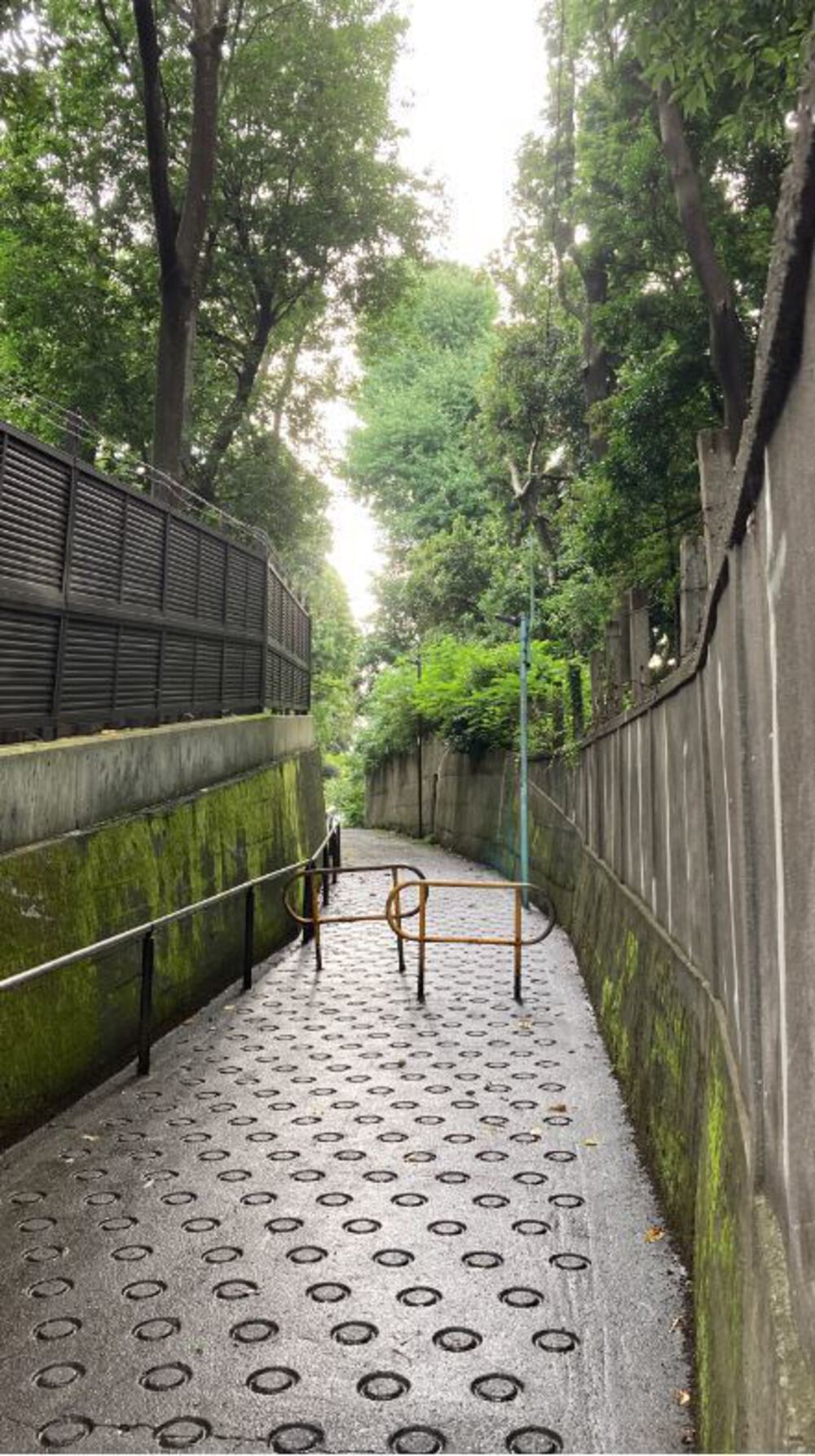 急坂連続コースの写真3