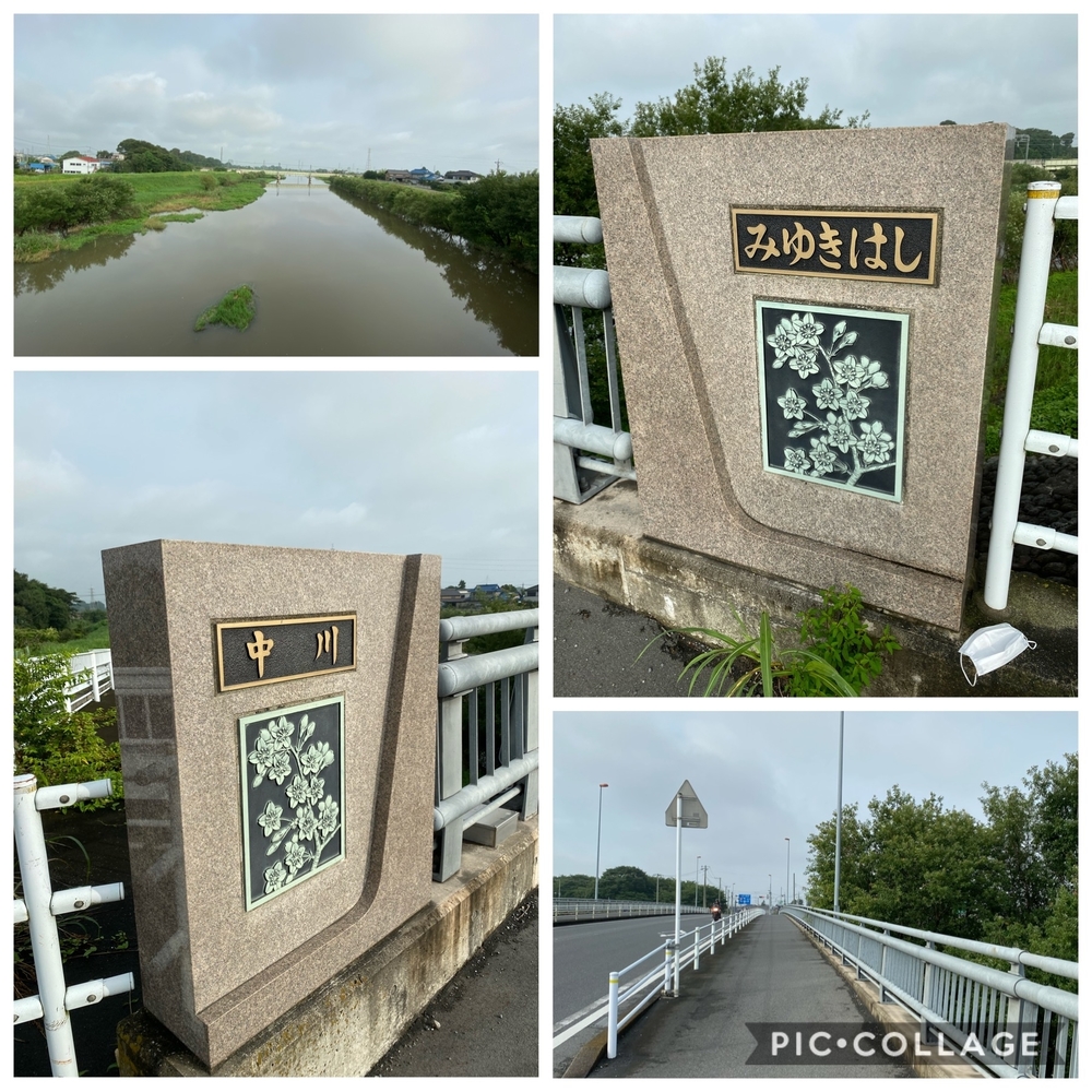 日光道中（街道）幸手宿をゆくの写真4