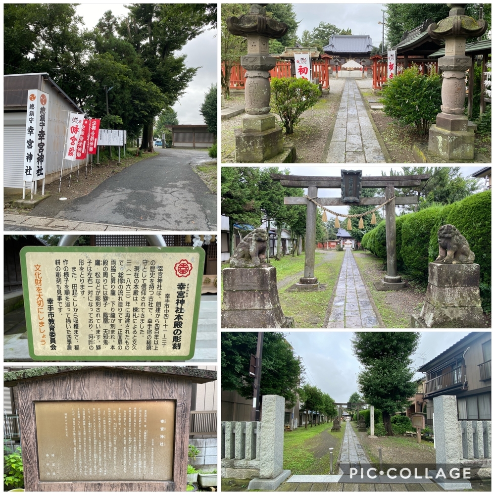 日光道中（街道）幸手宿をゆくの写真13