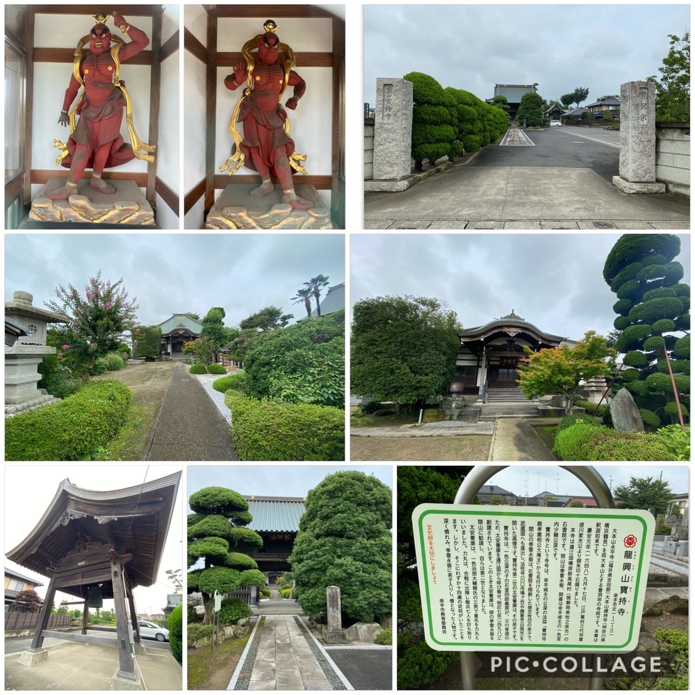 日光道中（街道）幸手宿をゆくの写真15