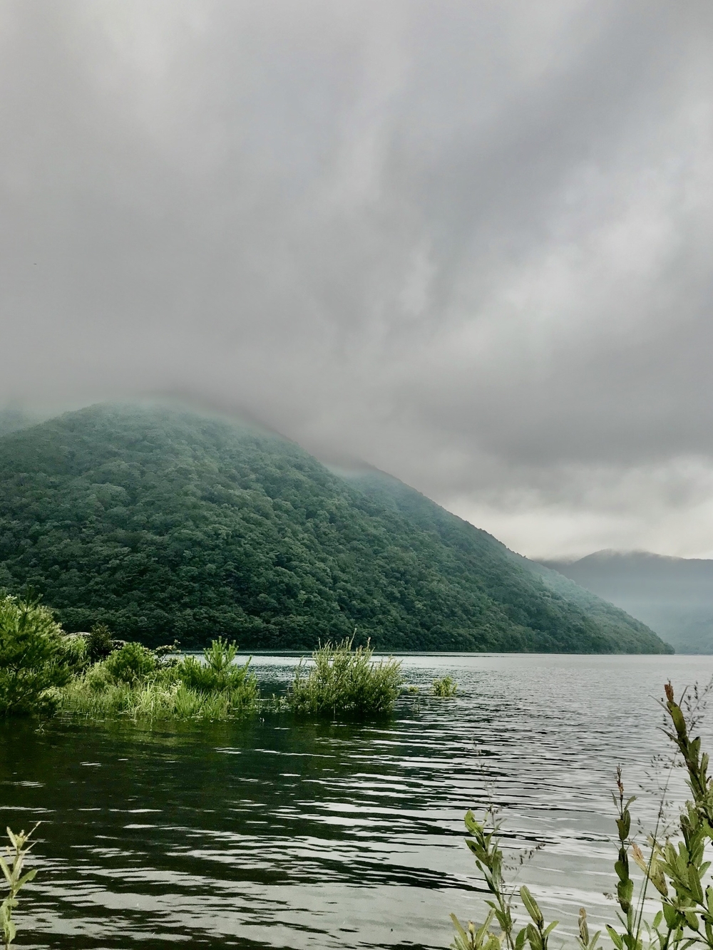 本栖湖 1周(11.6km/標高900m) ランコースの写真4