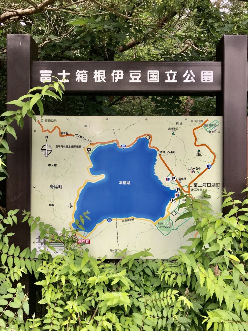 本栖湖 1周(11.6km/標高900m) ランコースの写真5