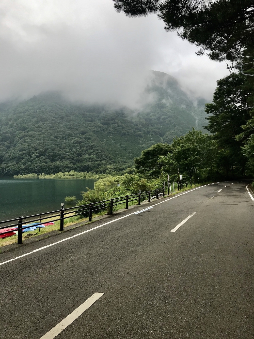 本栖湖 1周(11.6km/標高900m) ランコースの写真8