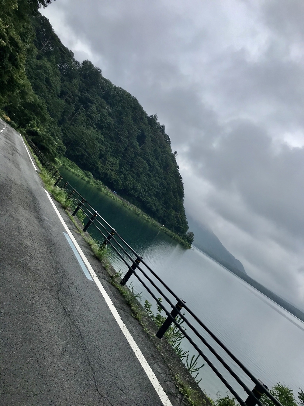 本栖湖 1周(11.6km/標高900m) ランコースの写真10