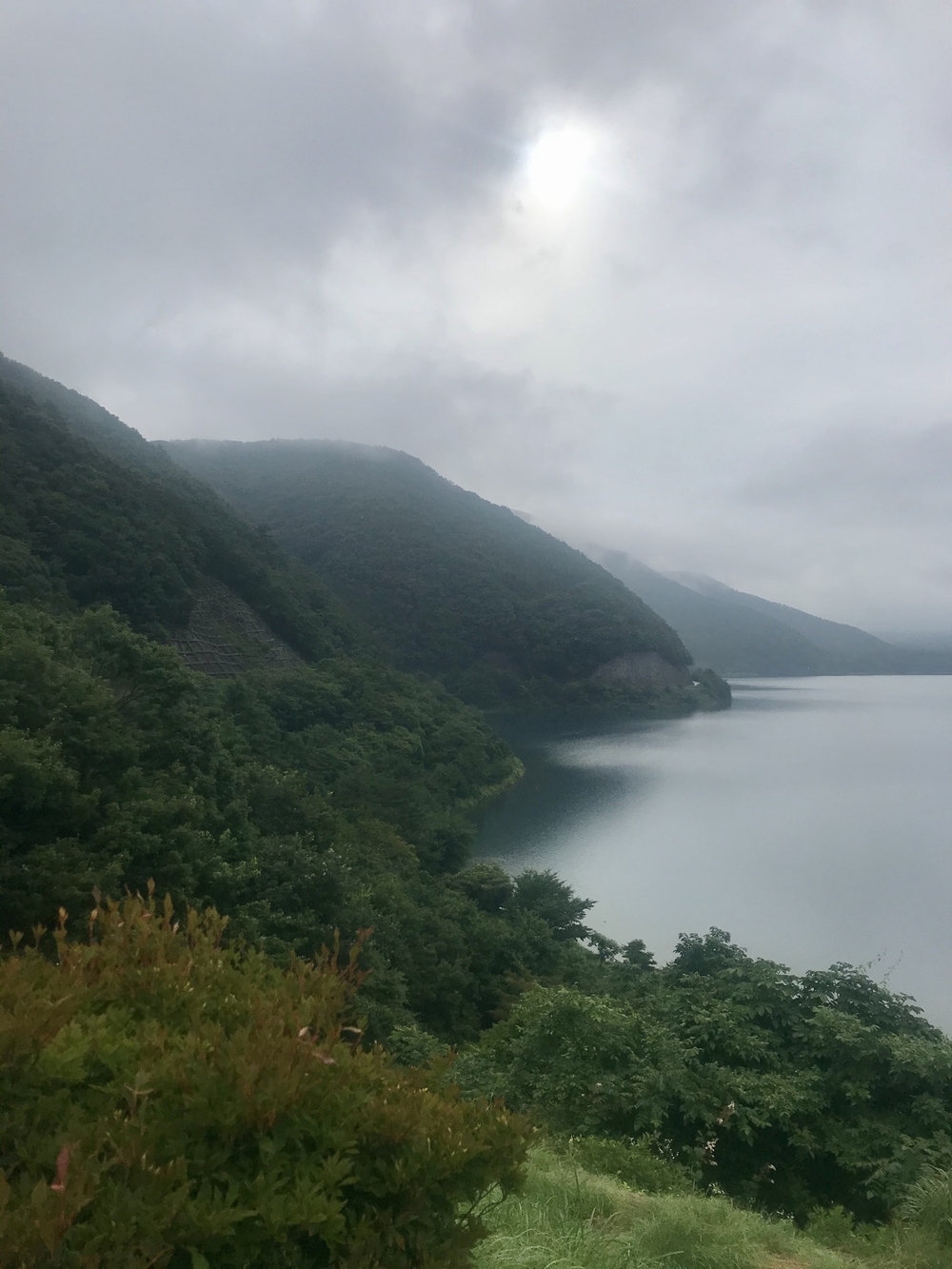 本栖湖 1周(11.6km/標高900m) ランコースの写真12