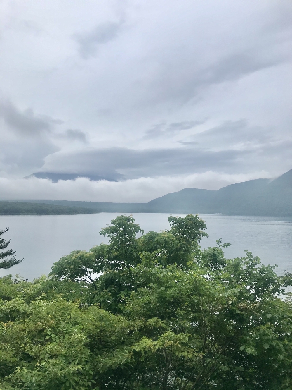 本栖湖 1周(11.6km/標高900m) ランコースの写真13