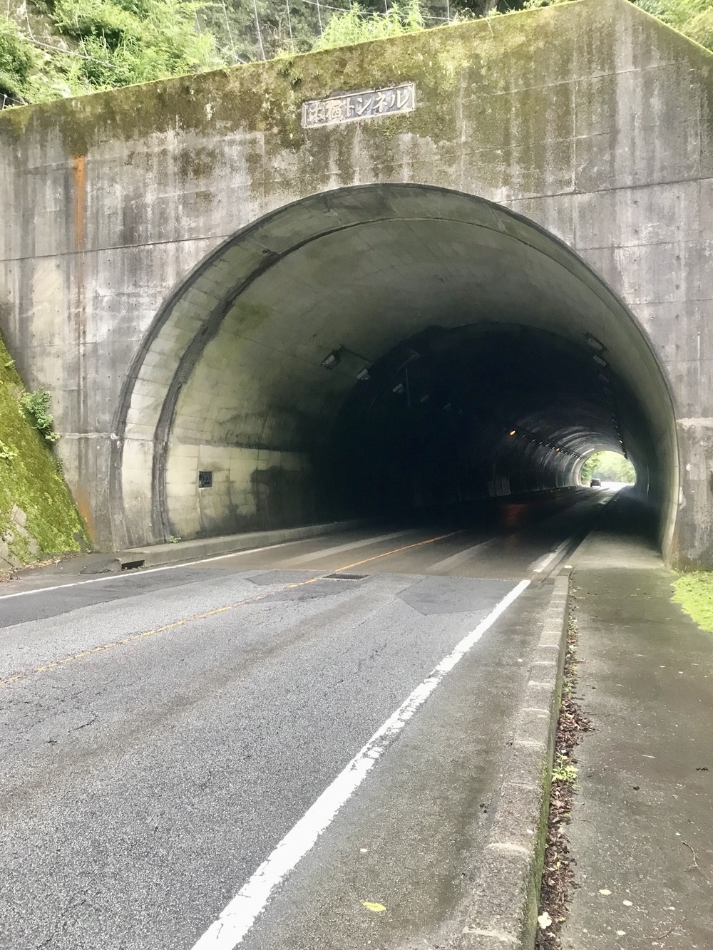 本栖湖 1周(11.6km/標高900m) ランコースの写真15