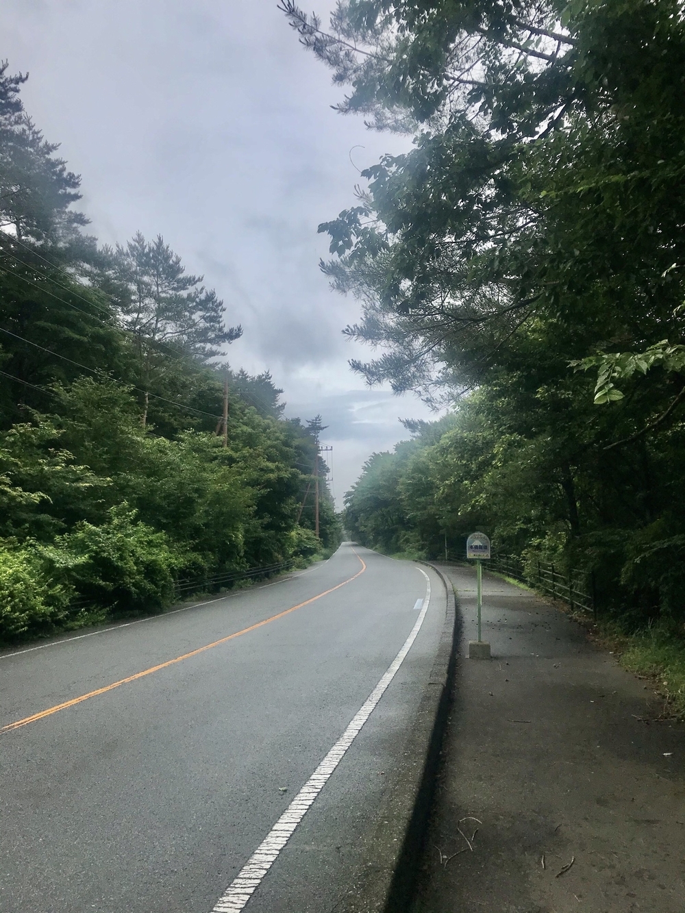 本栖湖 1周(11.6km/標高900m) ランコースの写真16