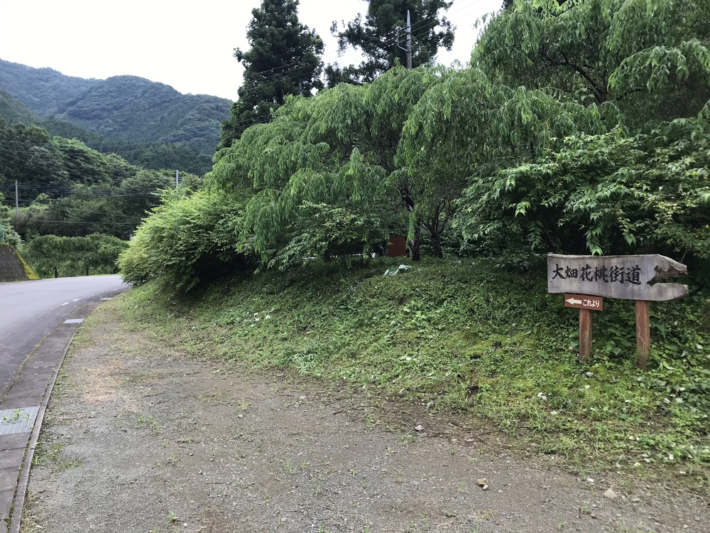 わたらせ渓谷鉄道で花と歴史街道をRunTripの写真4