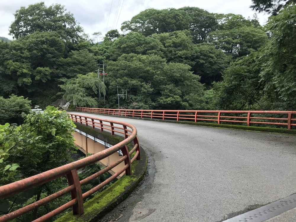 わたらせ渓谷鉄道で花と歴史街道をRunTripの写真5