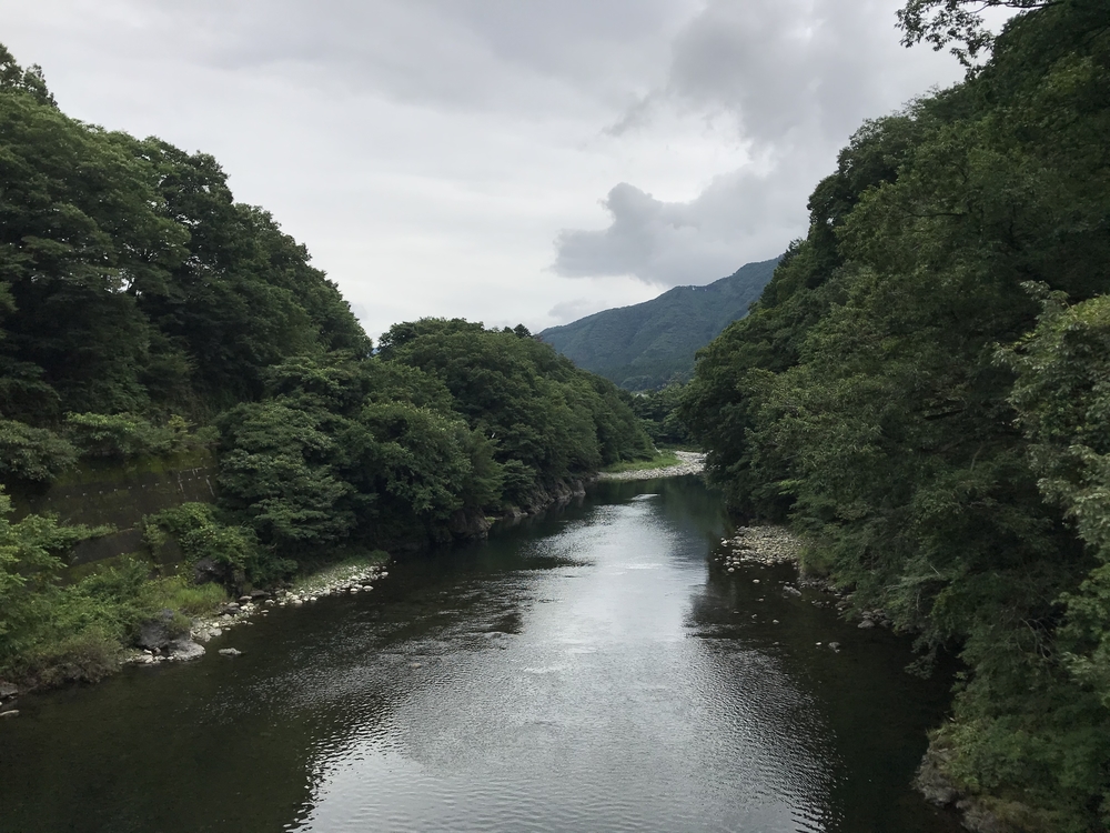 わたらせ渓谷鉄道で花と歴史街道をRunTripの写真6