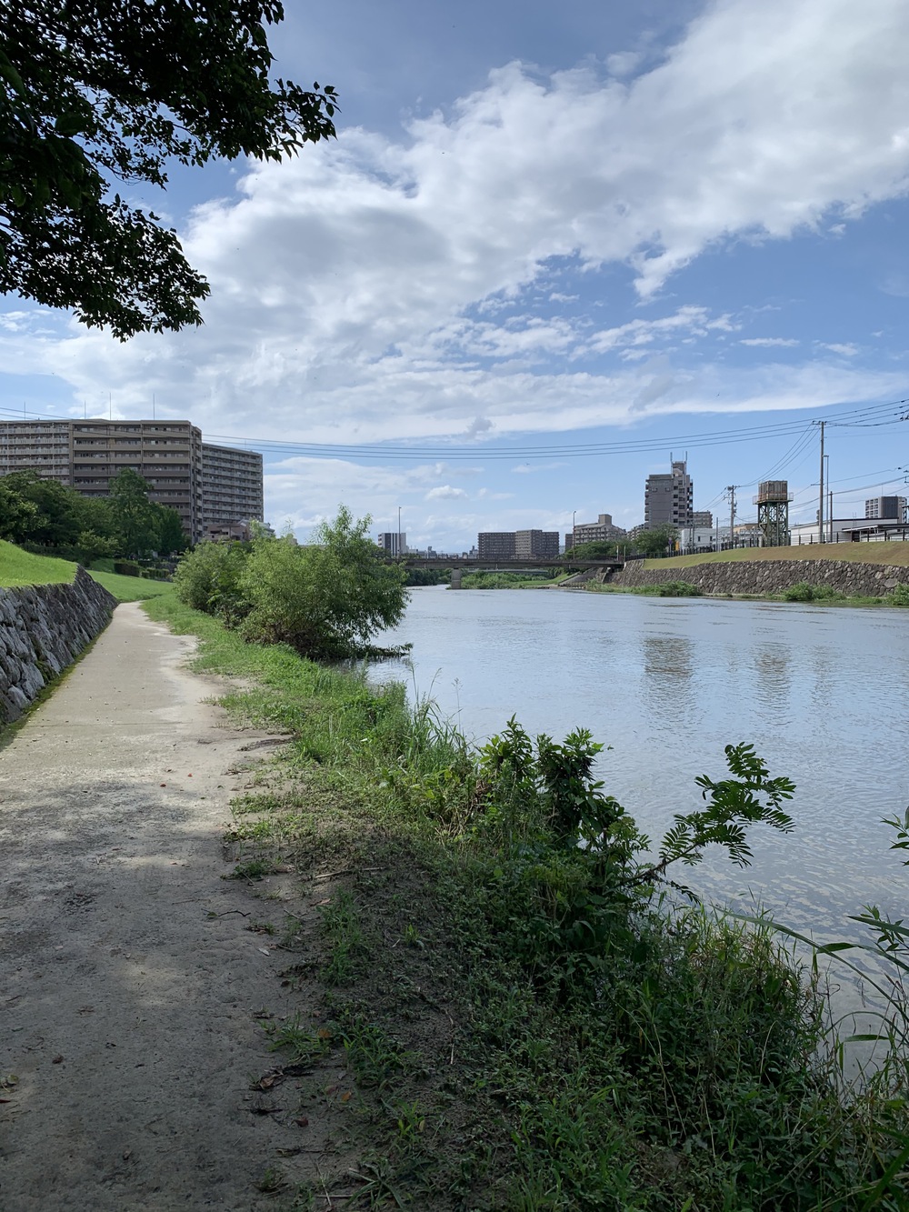 福岡市街の自然と都会の近さ、利便性を実感するコースの写真4