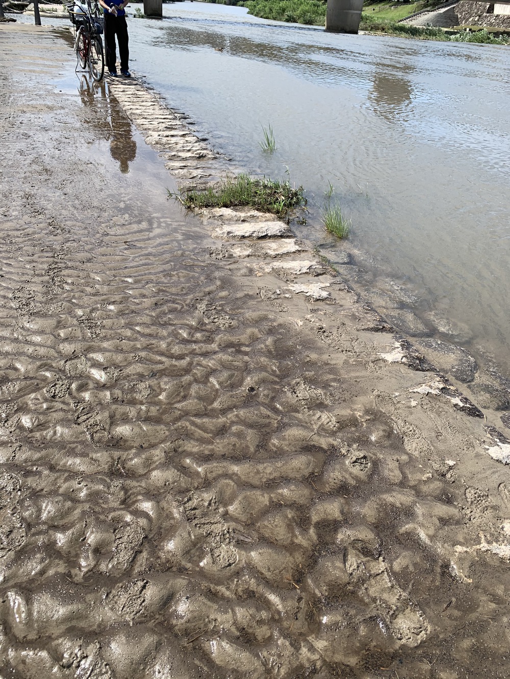 福岡市街の自然と都会の近さ、利便性を実感するコースの写真5