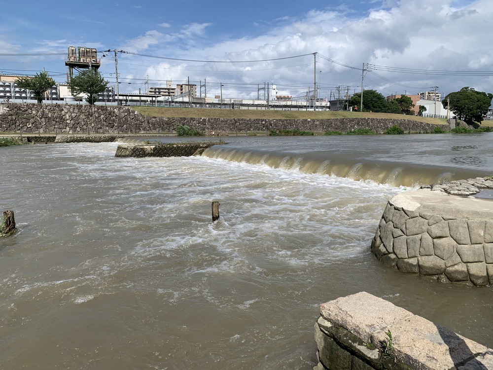 福岡市街の自然と都会の近さ、利便性を実感するコースの写真6