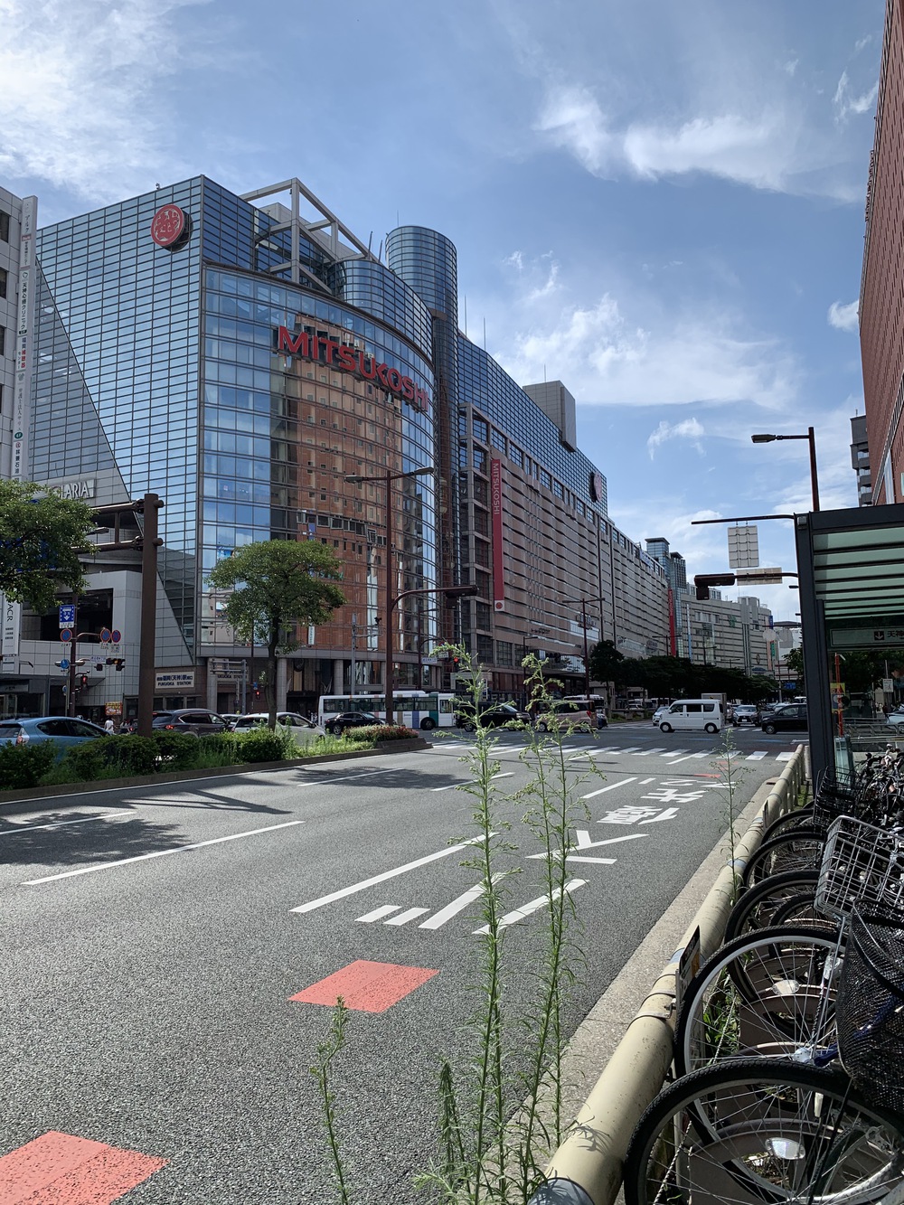 福岡市街の自然と都会の近さ、利便性を実感するコースの写真8