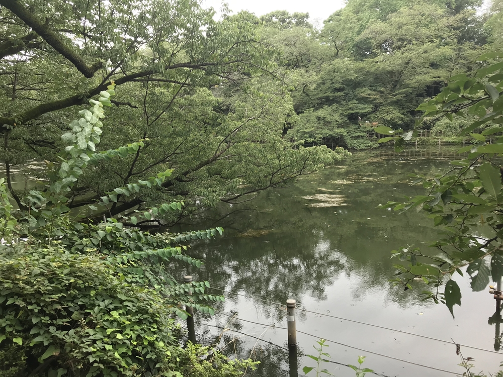 LOVE 蕎麦RUN at 深大寺 (15km)の写真3