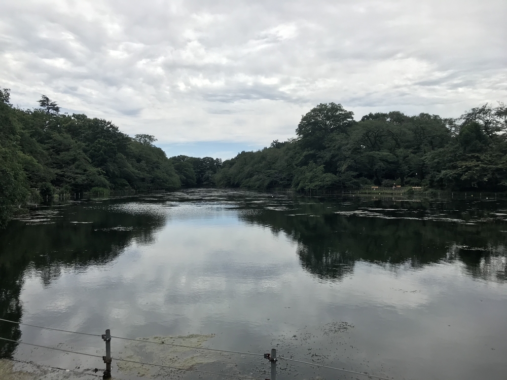 LOVE 蕎麦RUN at 深大寺 (15km)の写真4