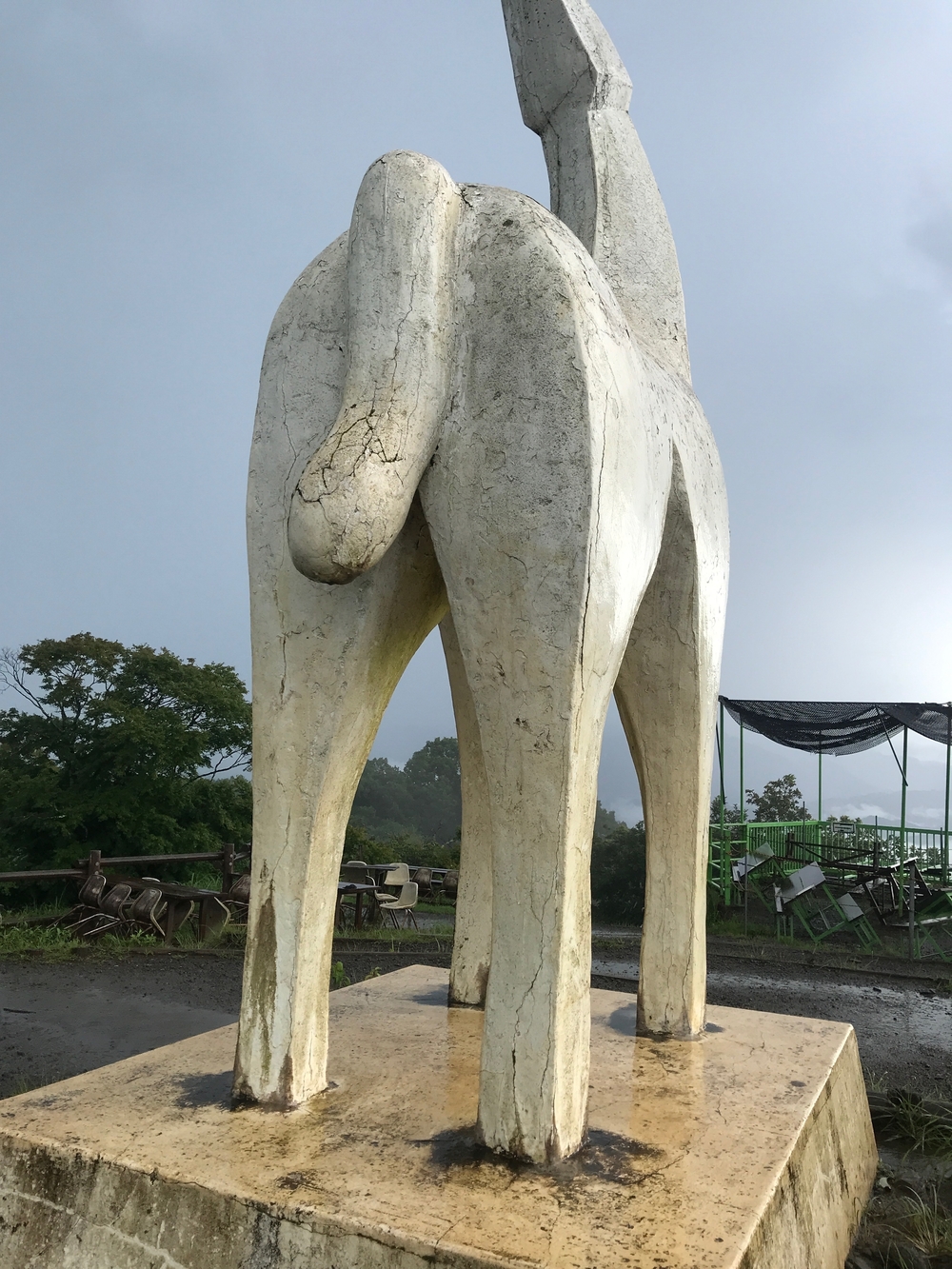 藤野15名山〜北部の5山編の写真4