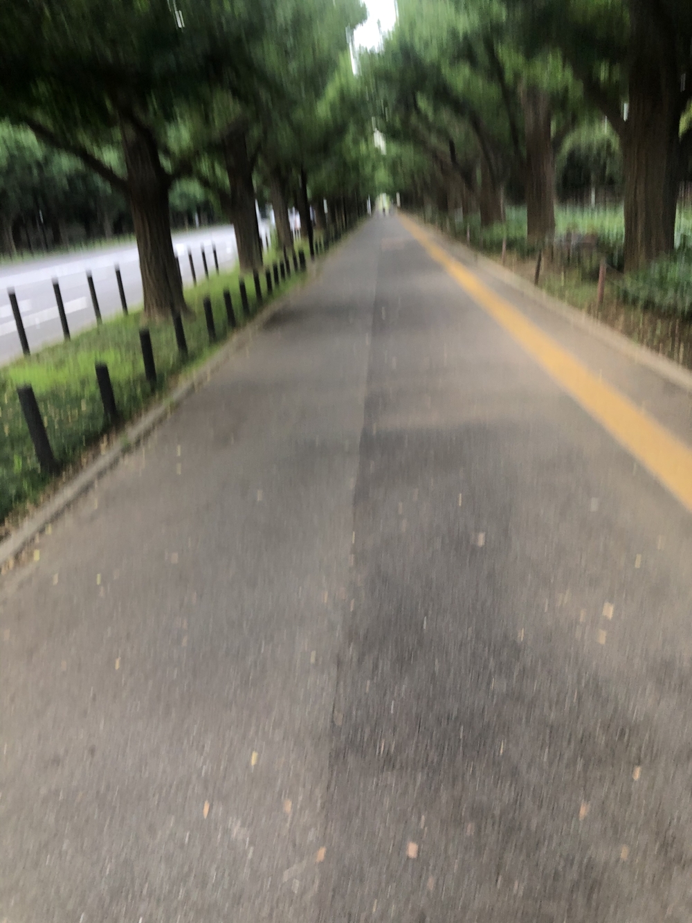 迎賓館〜外苑前〜皇居アップダウンランの写真5