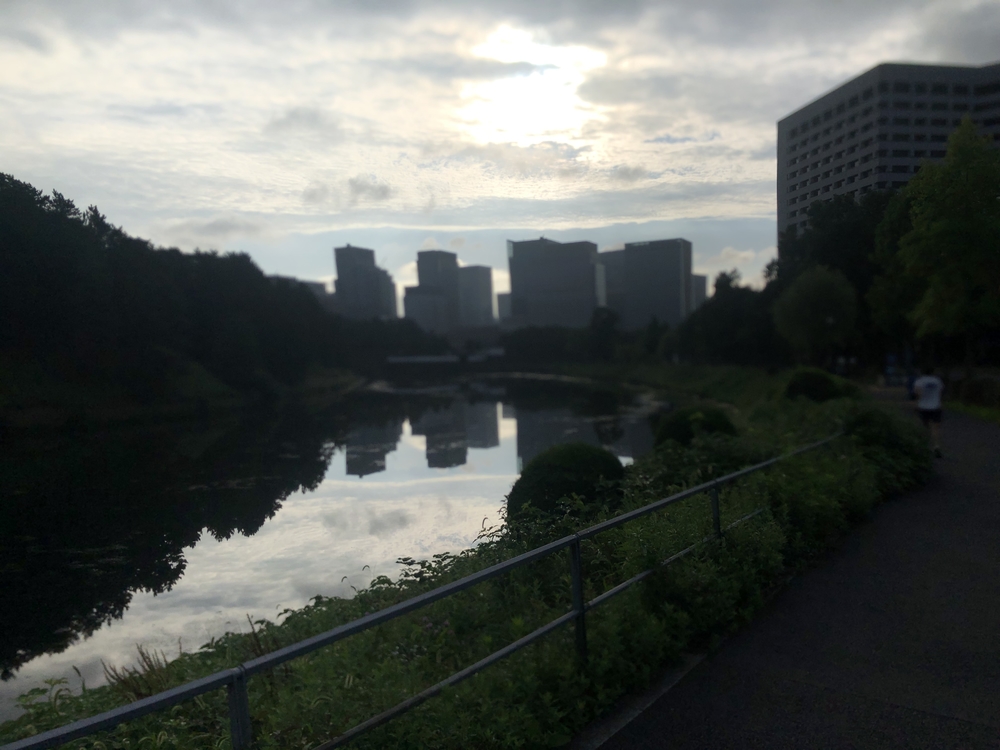 迎賓館〜外苑前〜皇居アップダウンランの写真7