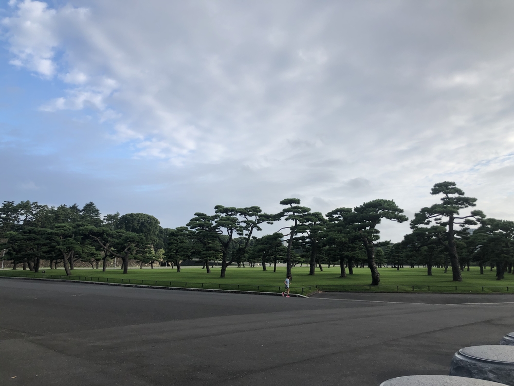 迎賓館〜外苑前〜皇居アップダウンランの写真8