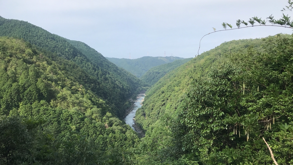 愛宕山、愛宕神社ダブルコースの写真3