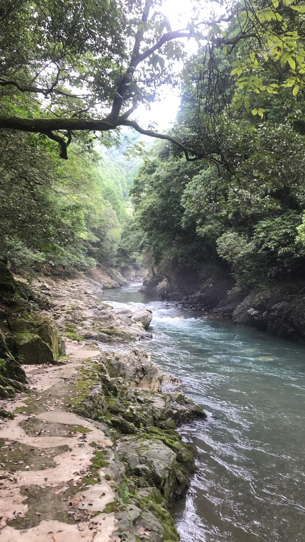 愛宕山、愛宕神社ダブルコースの写真5