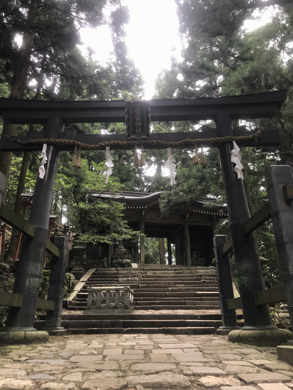 愛宕山、愛宕神社ダブルコースの写真7