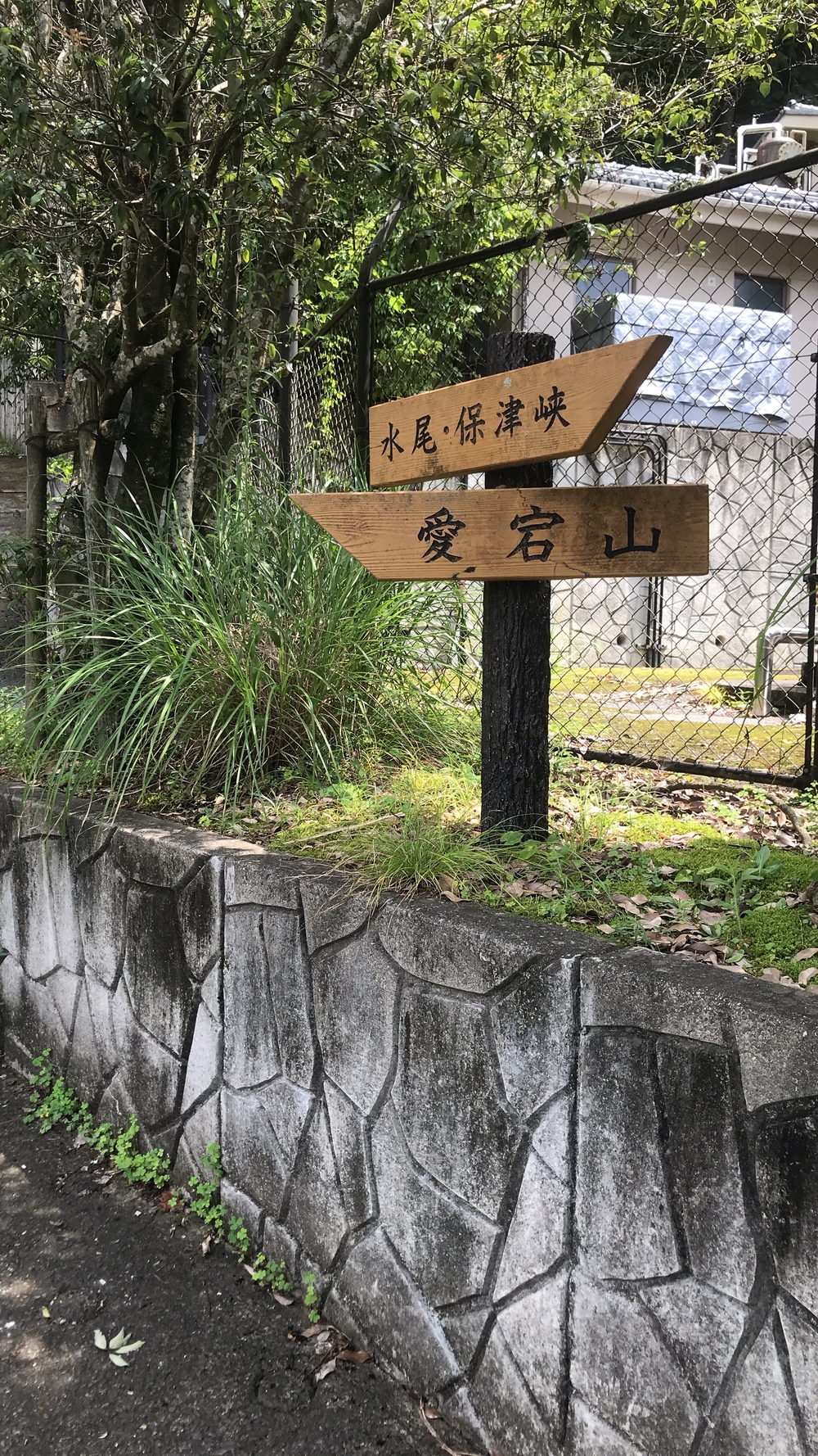 愛宕山、愛宕神社ダブルコースの写真8