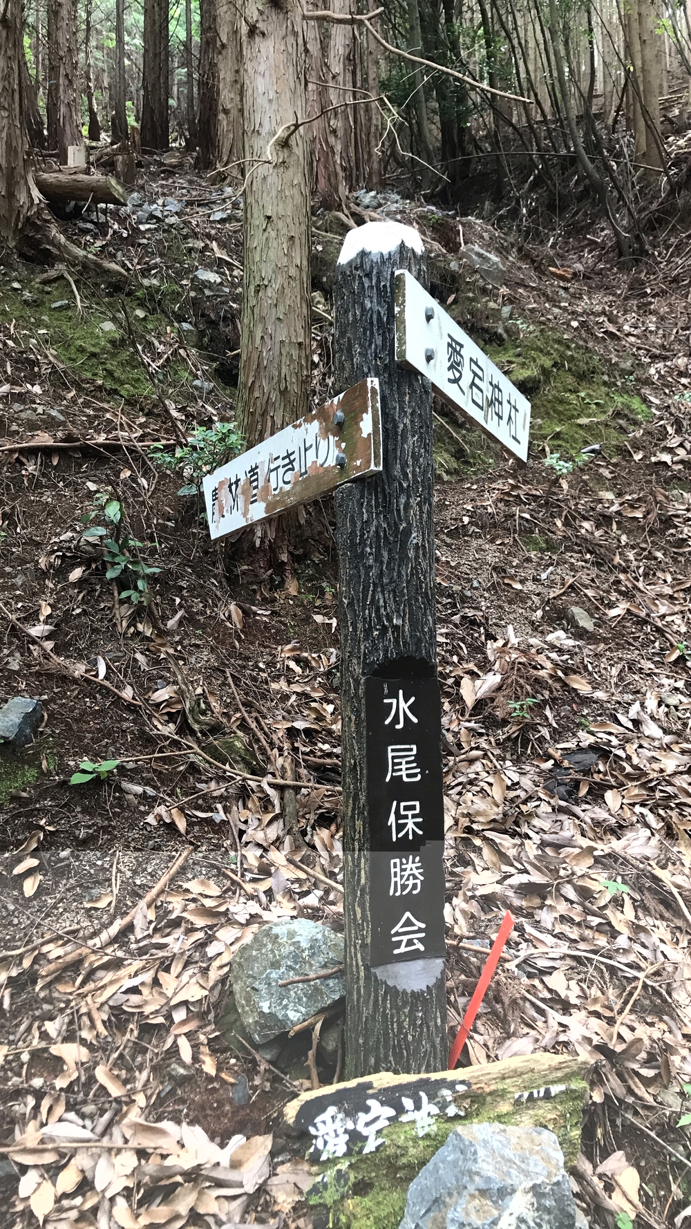 愛宕山、愛宕神社ダブルコースの写真9