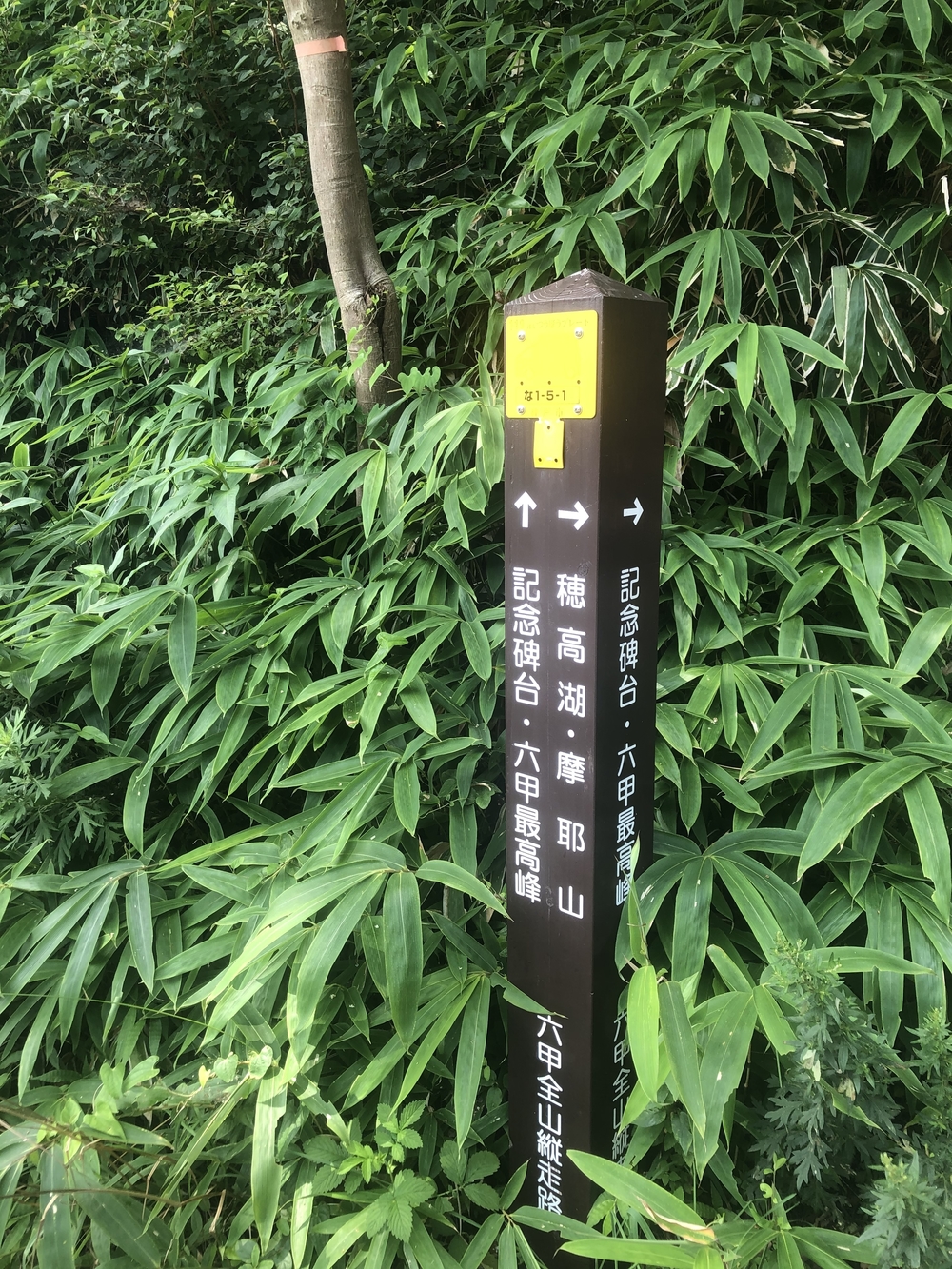 六甲摩耶山　六甲山牧場でソフトクリーム♪の写真3